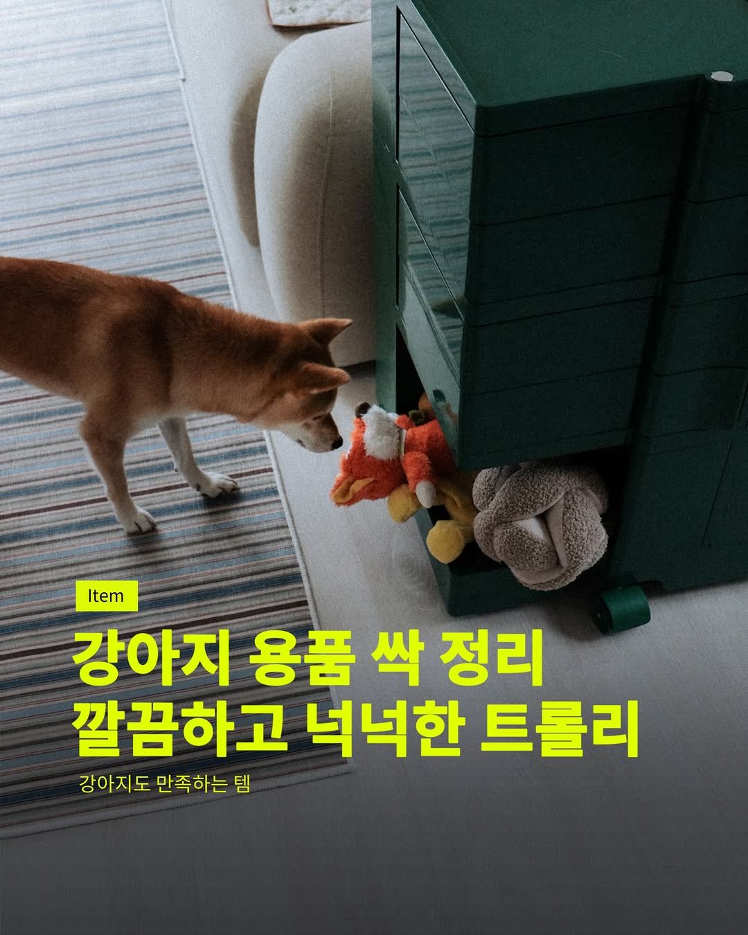 @chunsim_shiba이 올린 베스트리빙 태그 게시물