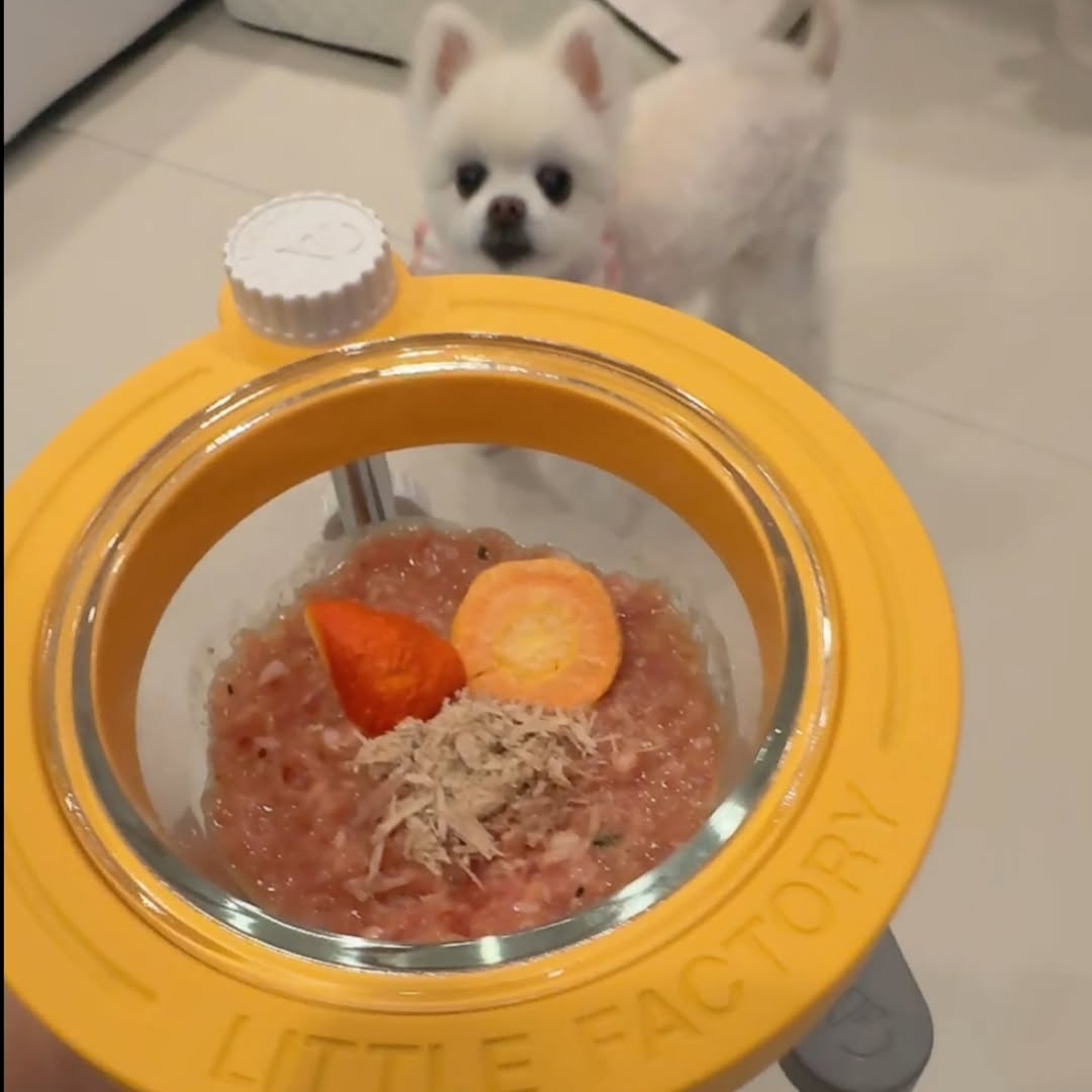 @2baby_lee이 올린 정글키친 태그 게시물