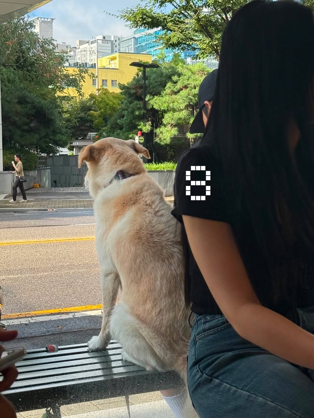 @saiylom.marzza이 올린 타르데마베이커리 태그 게시물