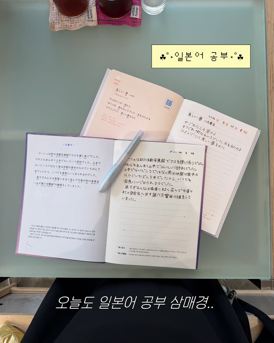 @mungutrip_official이 올린 다락원 태그 게시물