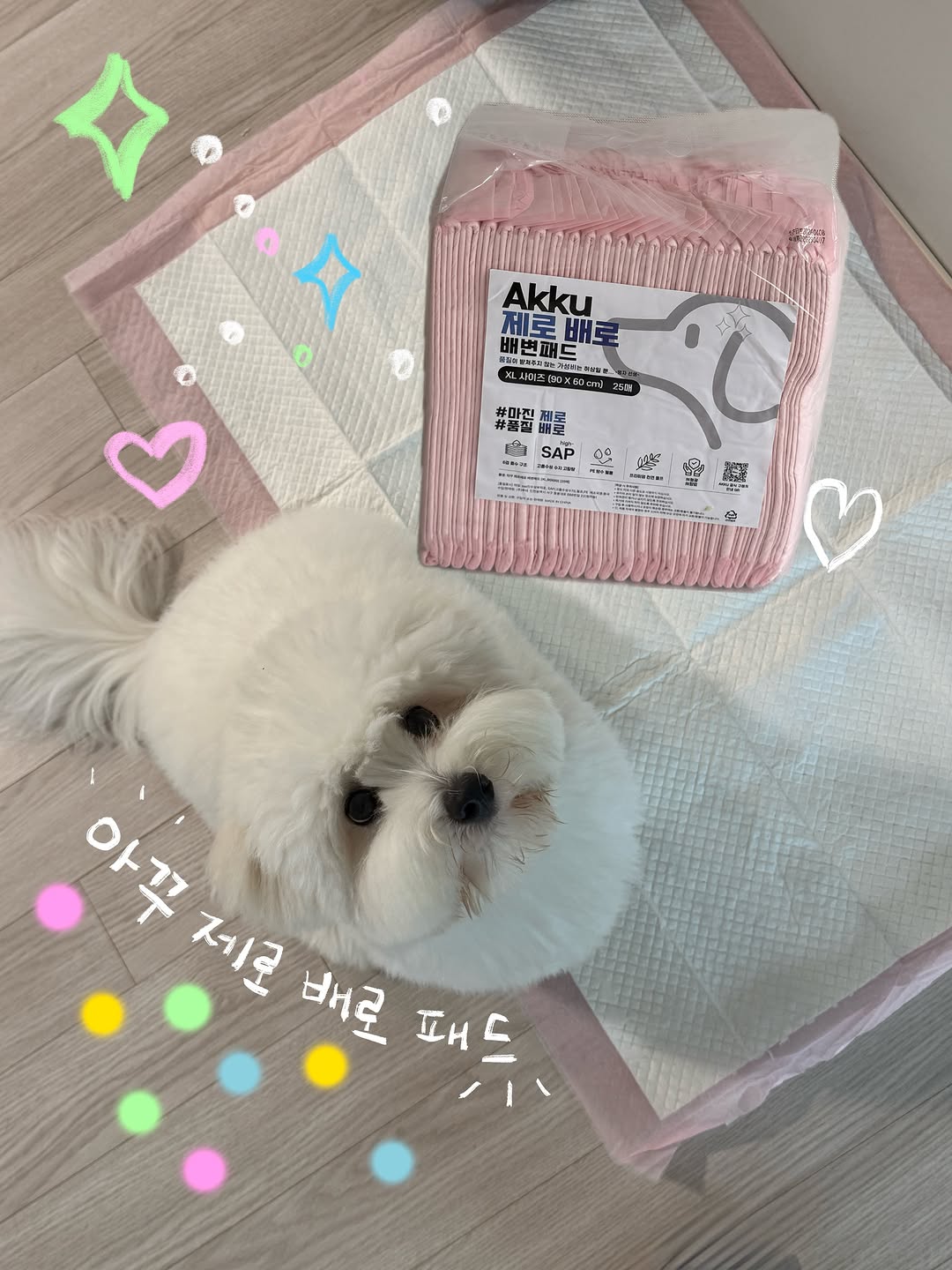 @mayone__zz이 올린 아꾸 태그 게시물