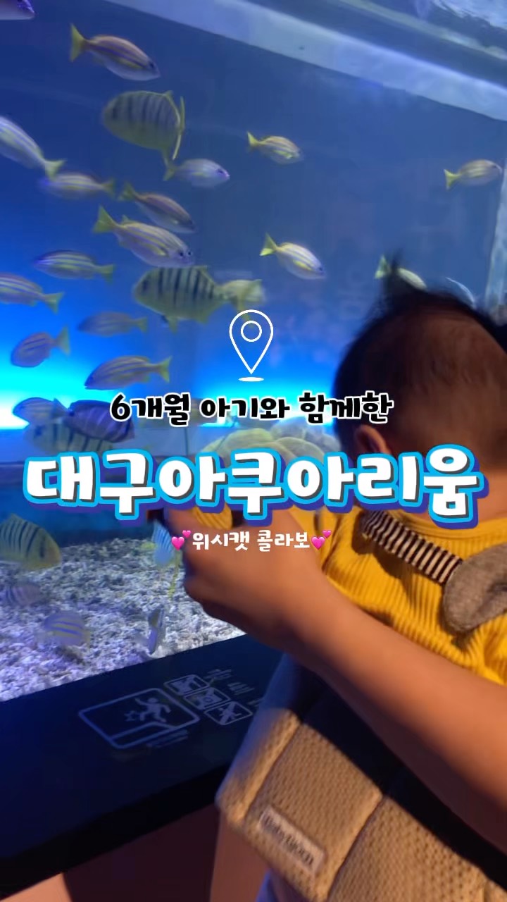 @won.hajin이 올린 대구맘카페 태그 게시물
