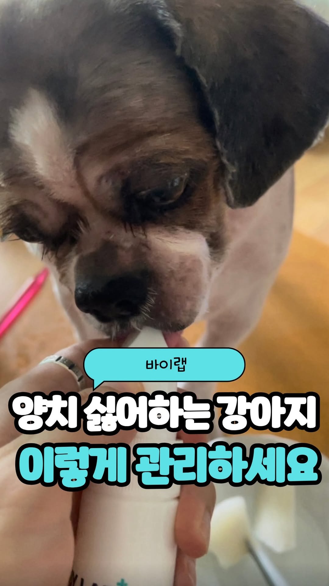 @marcus_enfj이 올린 바이랩 태그 게시물