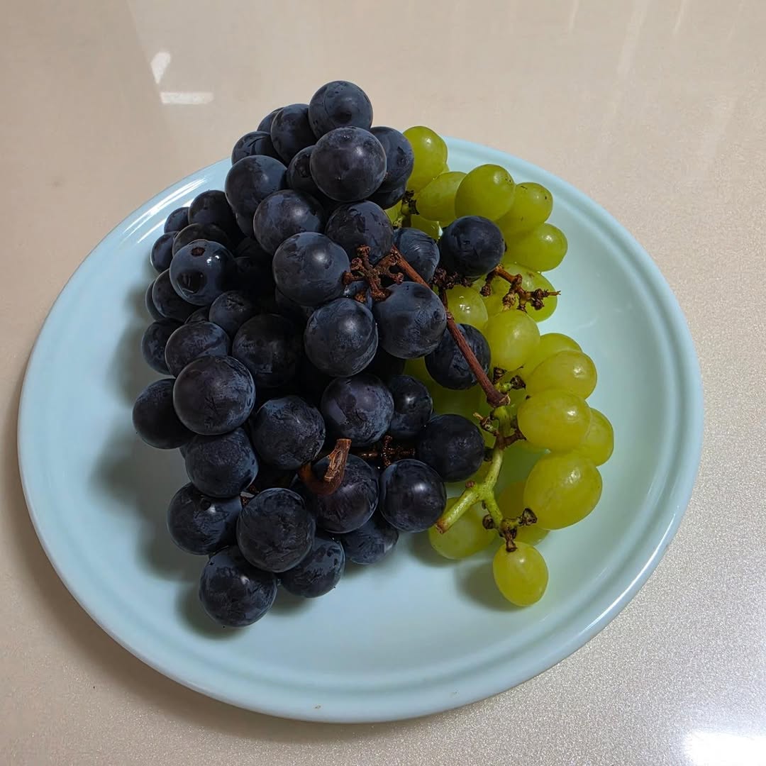 @ansanbravo9077이 올린 크라운제과 태그 게시물