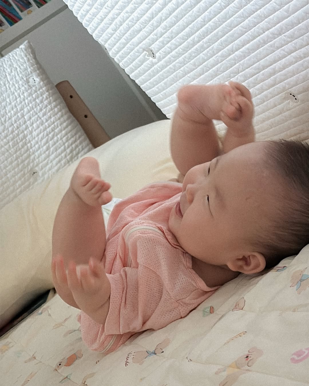 @curly_baby_bird이 올린 비비엔다 태그 게시물