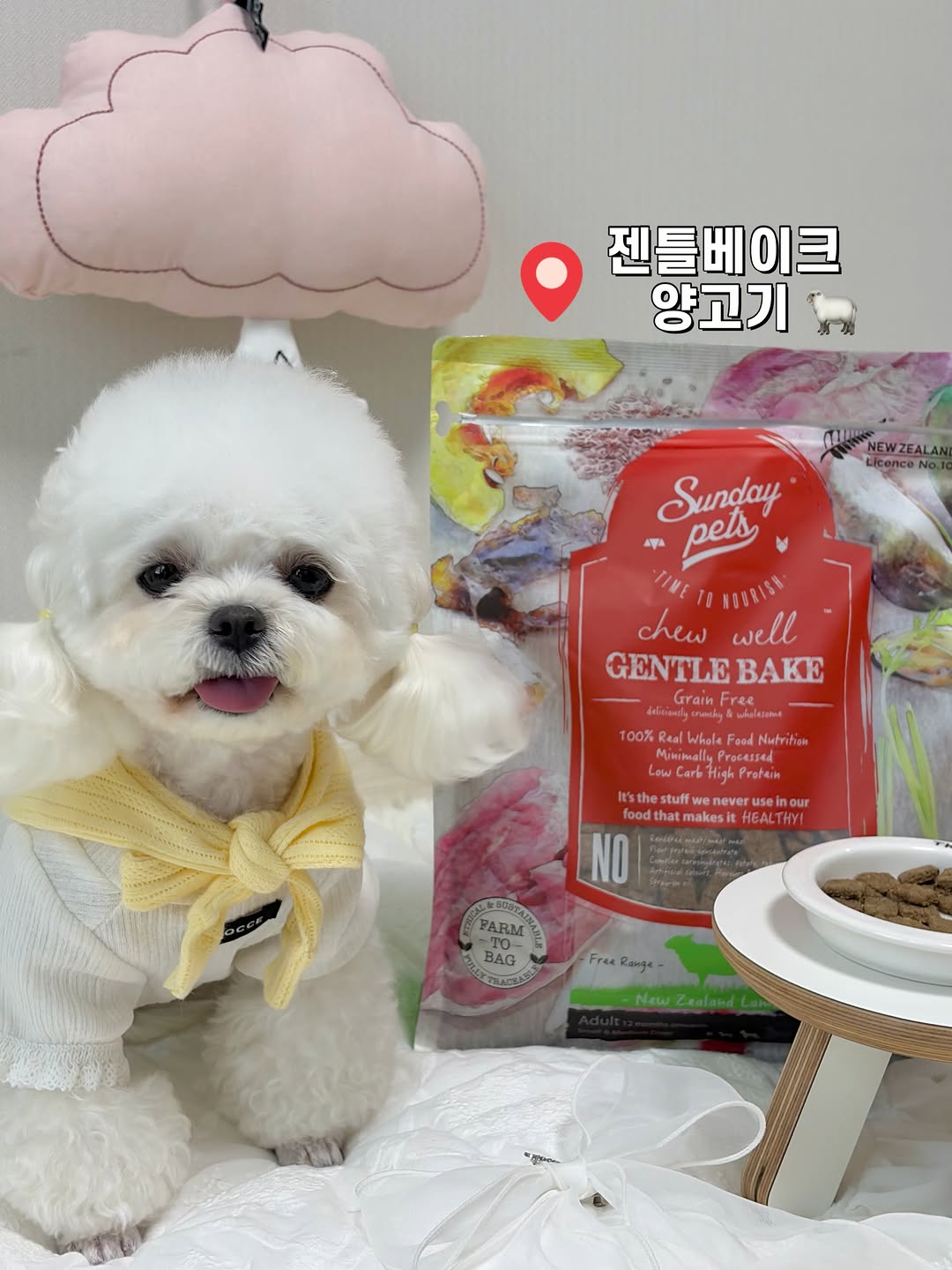 @_bobpul._.b이 올린 히동이와야옹이네 | 강아지사료 · 애견사료 · 강아지간식 태그 게시물