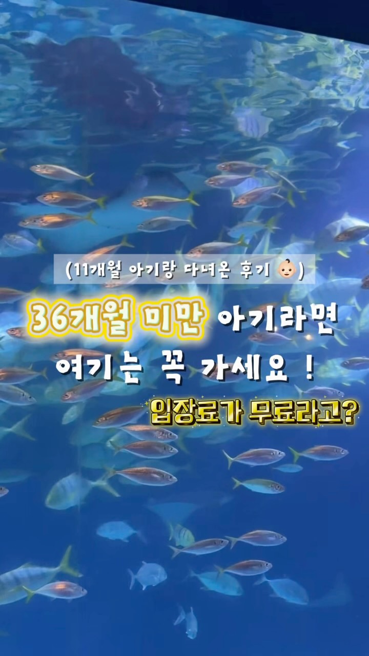@__love_doa_이 올린 대구맘카페 태그 게시물