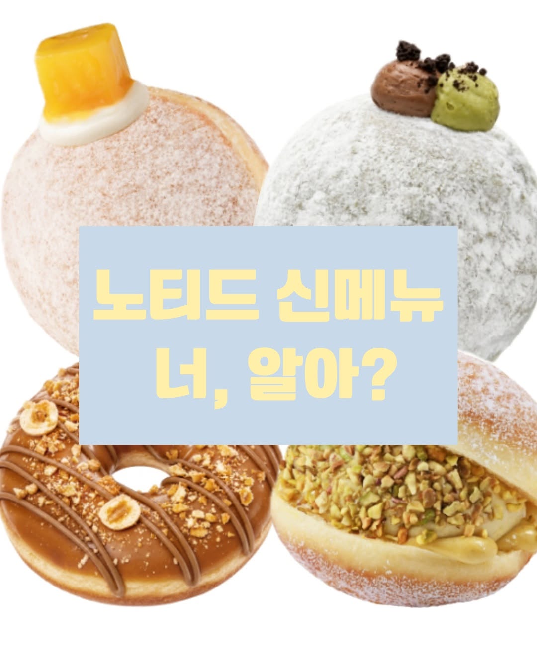 @doco.o11이 올린 노티드 태그 게시물