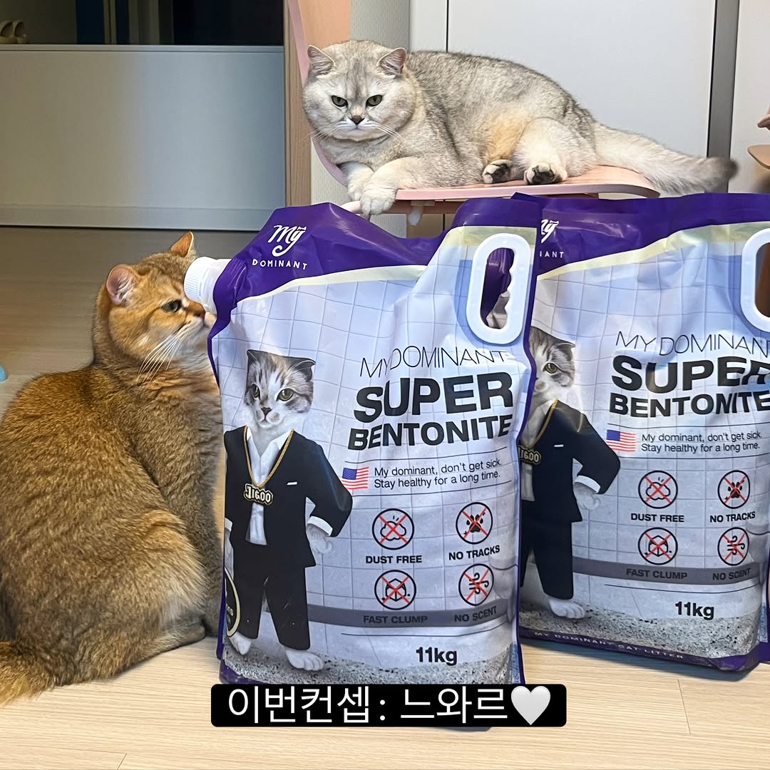 @luna_n_jetty이 올린 마이도미넌트 태그 게시물