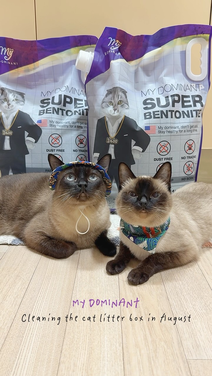 @mimibing_cat이 올린 마이도미넌트 태그 게시물