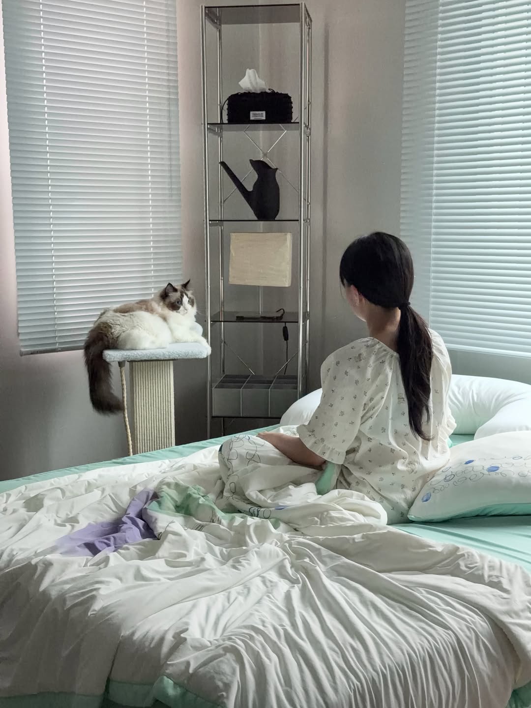 @catlury이 올린 아토주 태그 게시물