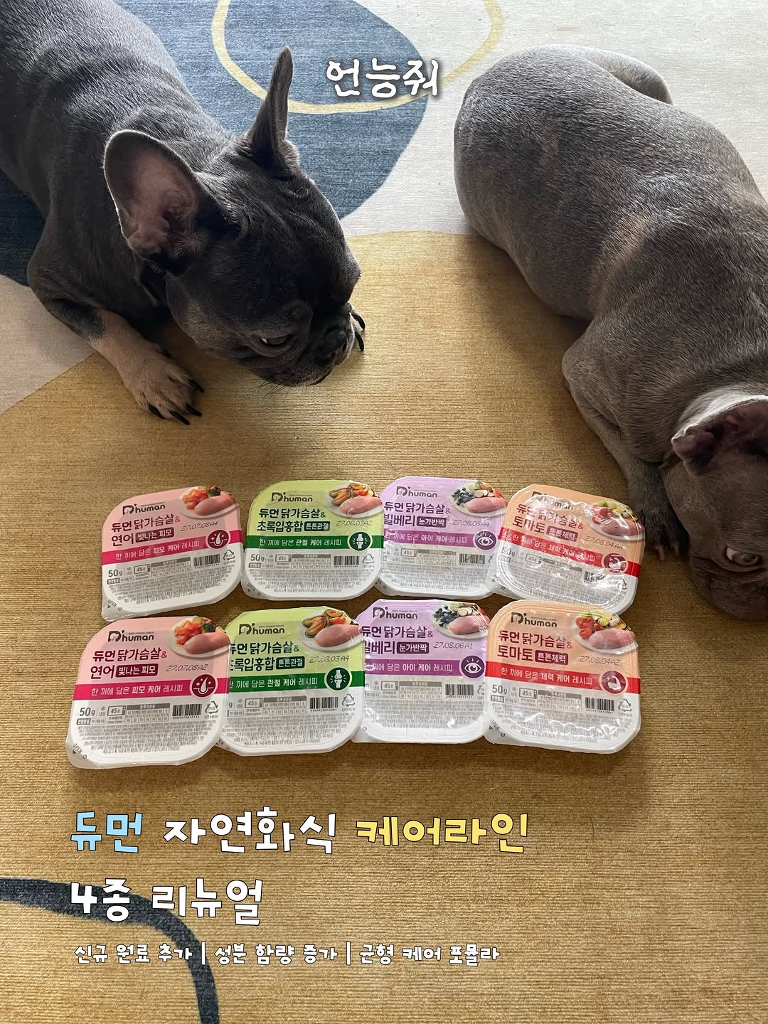 @mangchho이 올린 D'human 듀먼 태그 게시물