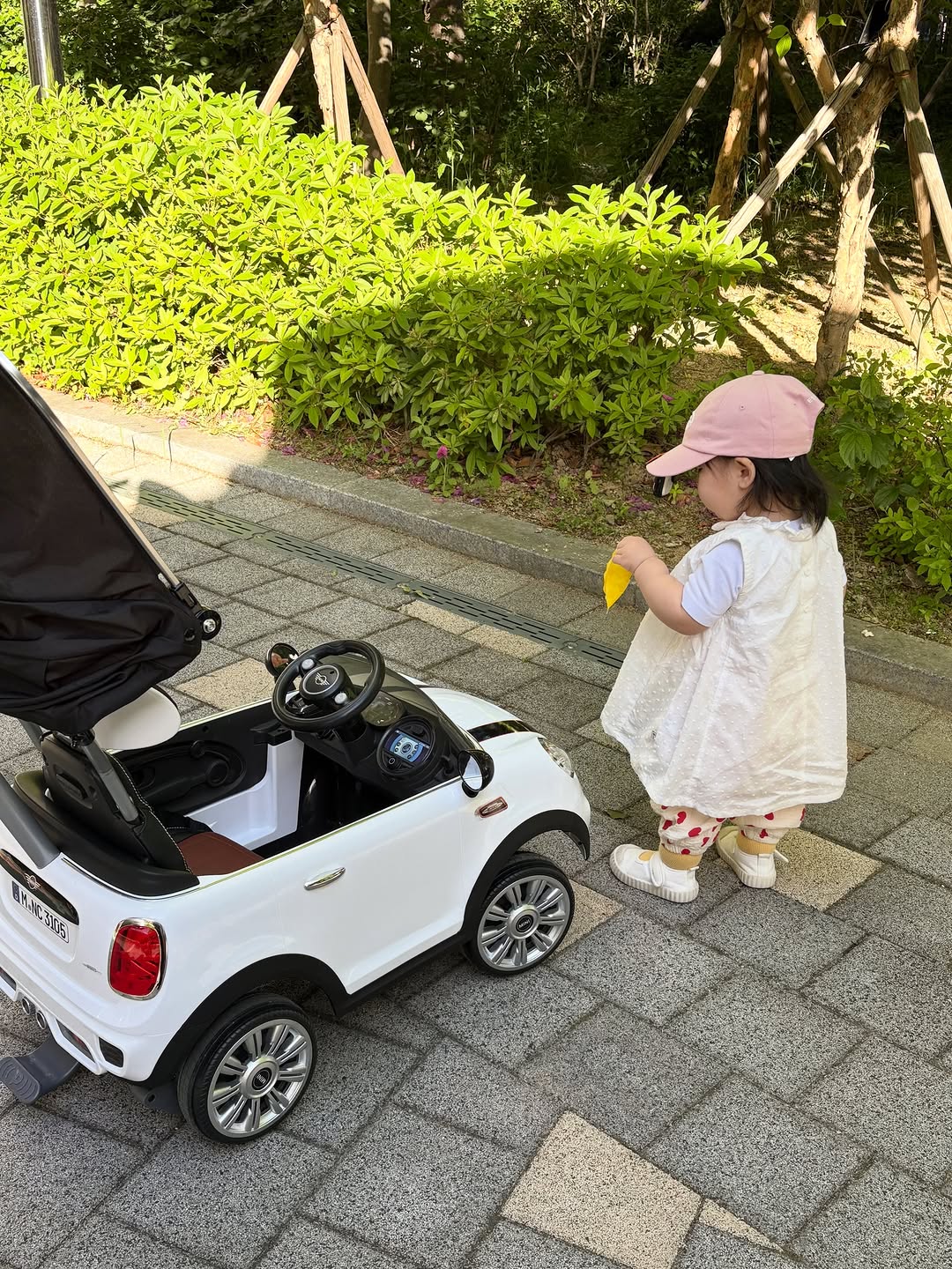 @mango__o3o__이 올린 파파야나인 태그 게시물