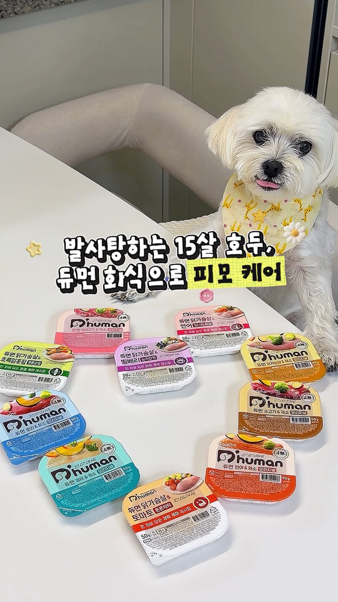 @hah0du이 올린 D'human 듀먼 태그 게시물