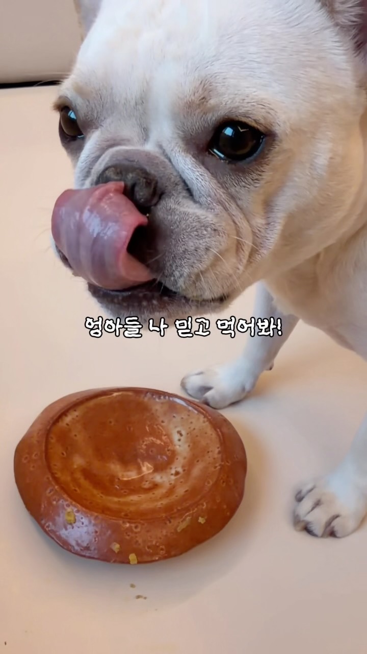 @mono.fb이 올린 D'human 듀먼 태그 게시물