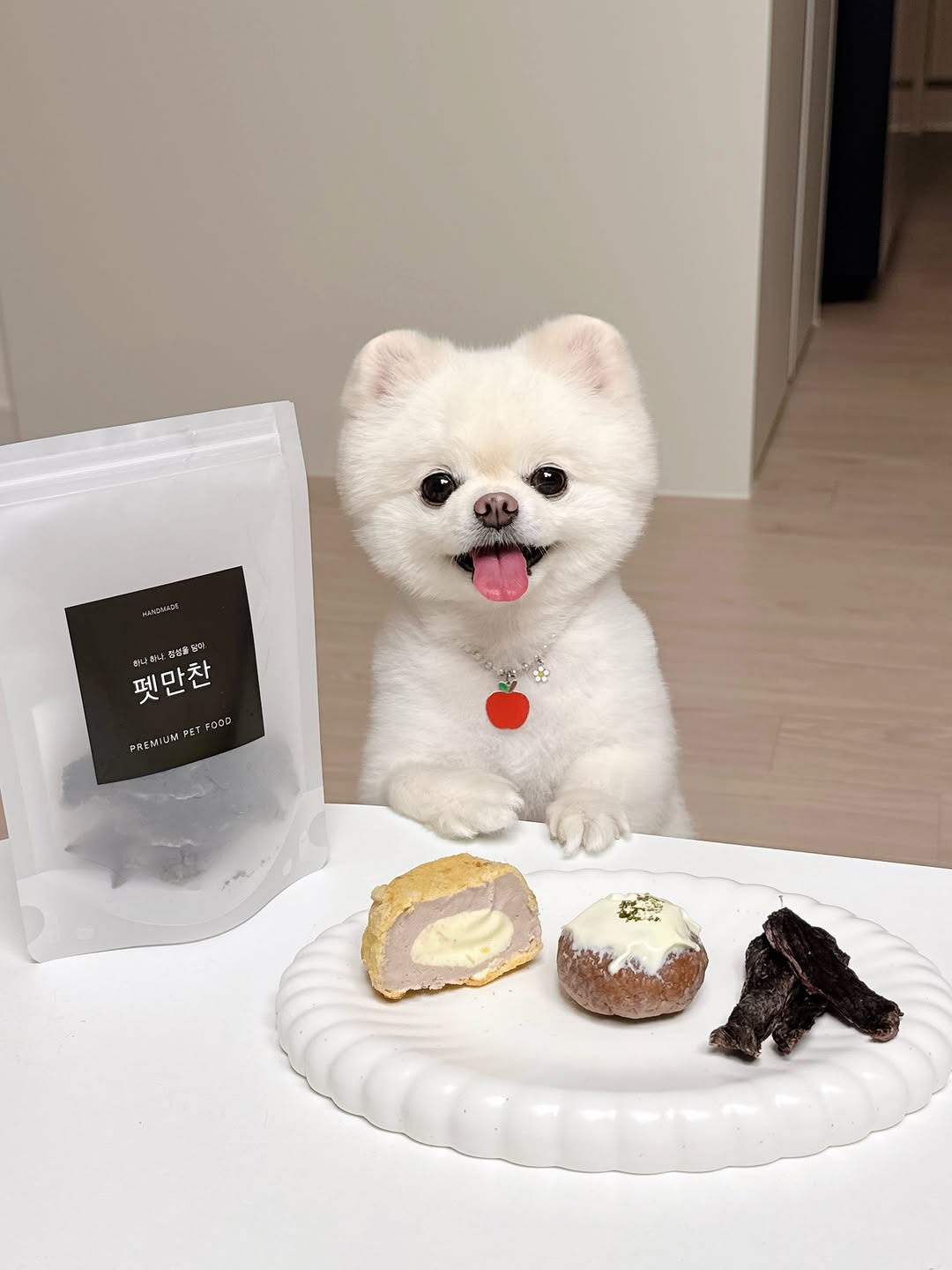 @shy__danbi이 올린 펫만찬 태그 게시물
