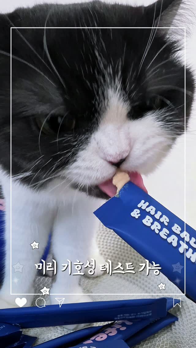 @harry.azi._.zzang2이 올린 라이프펫 태그 게시물