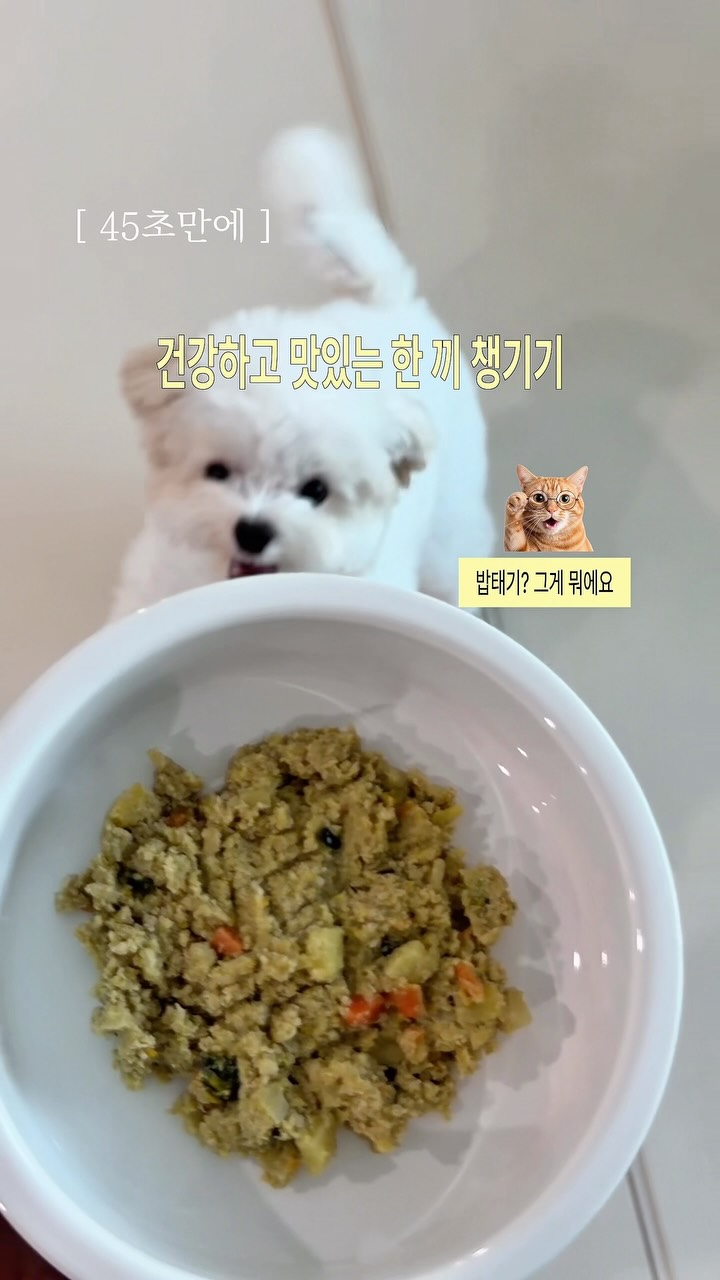 @woooodon9이 올린 D'human 듀먼 태그 게시물