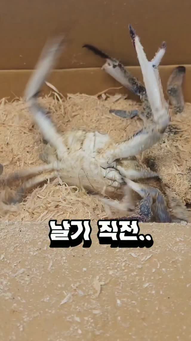 @churp.jhhj이 올린 롯데마트 태그 게시물