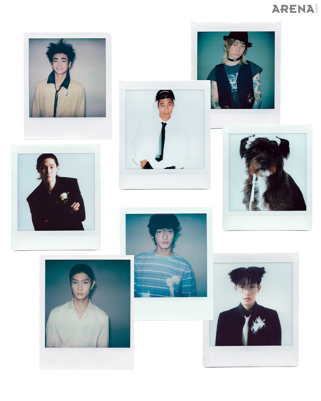 @posyveil이 올린 Arena Homme+ Korea 태그 게시물
