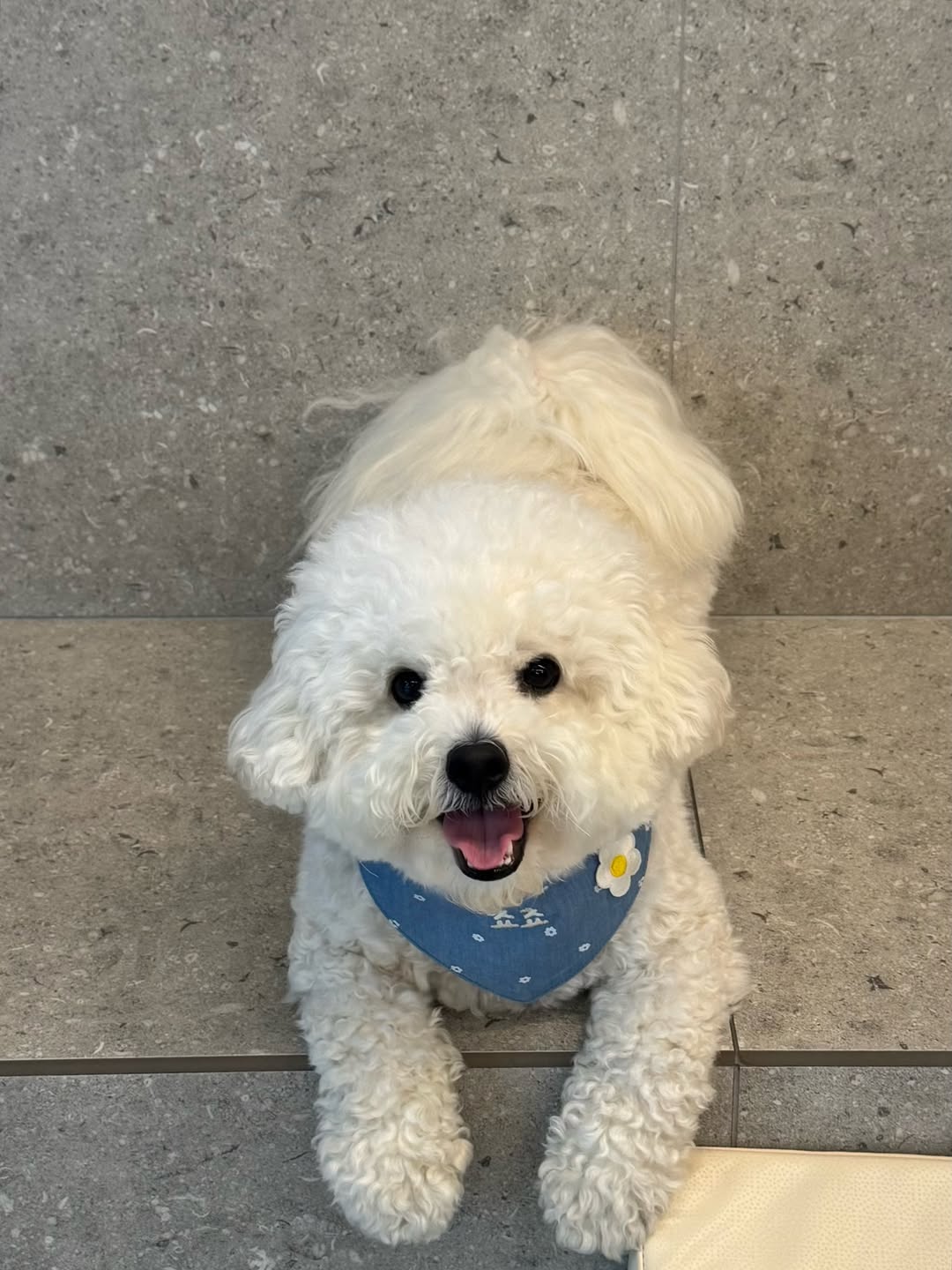 @chori_yaggi이 올린 누핀 태그 게시물