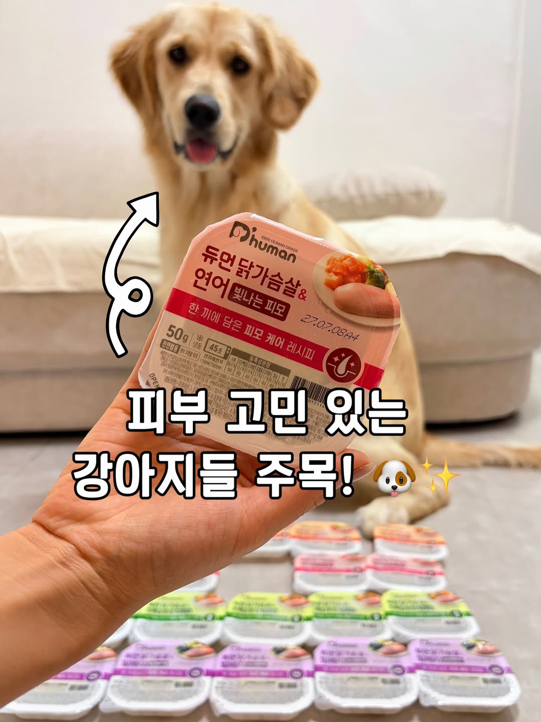 @iam_potato_25이 올린 D'human 듀먼 태그 게시물