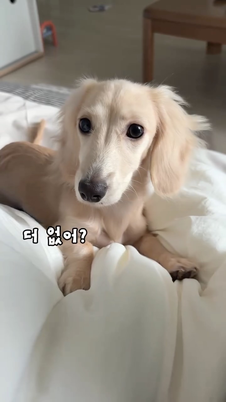 @gosuunnae이 올린 D'human 듀먼 태그 게시물