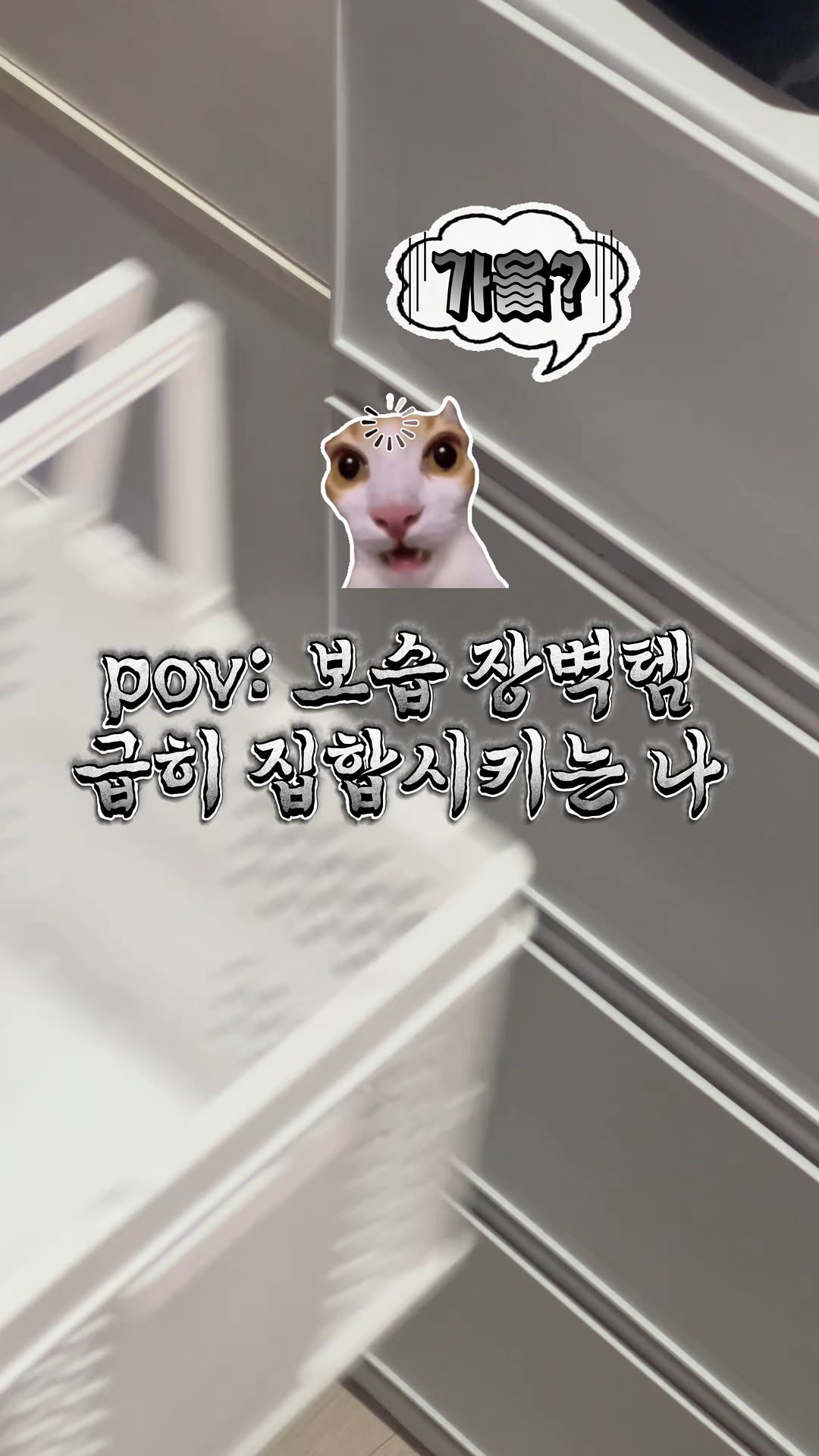 @zooi_cosme이 올린 김정문알로에 태그 게시물