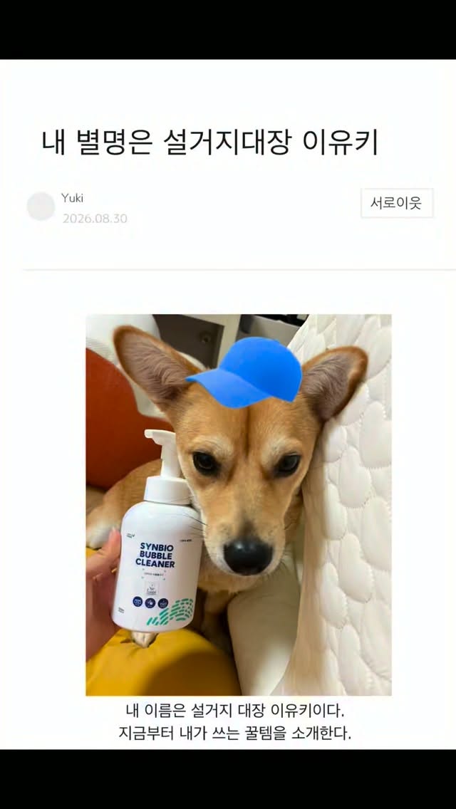 @yukiverse.zip이 올린 팡드미 태그 게시물