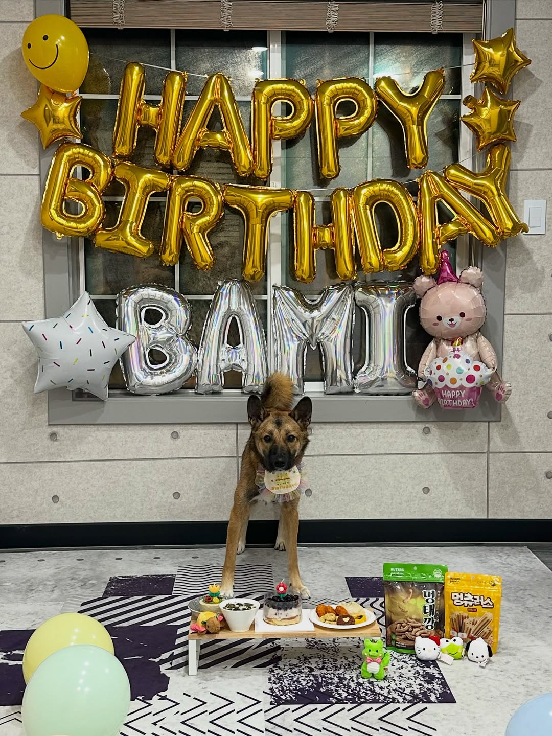@bami_days이 올린 누터스가든 태그 게시물