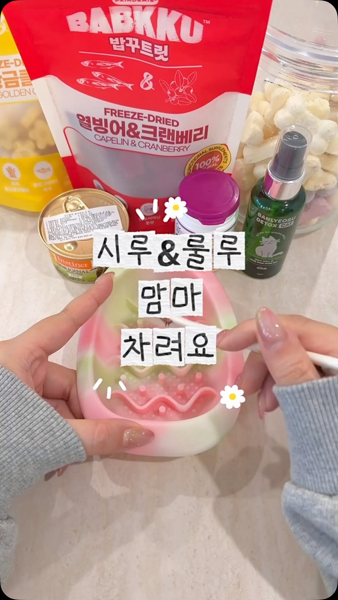 @siruya._.0606이 올린 팡드미 태그 게시물