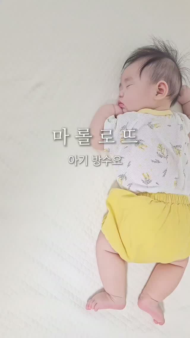@bae_1.9이 올린 마롤로뜨 태그 게시물