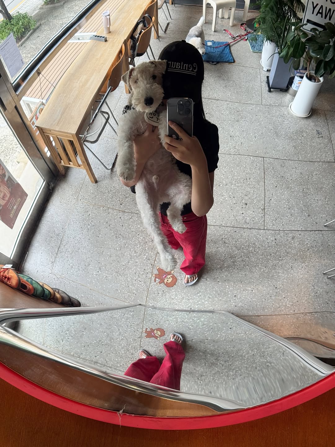 @ziyecooman이 올린 누핀 태그 게시물