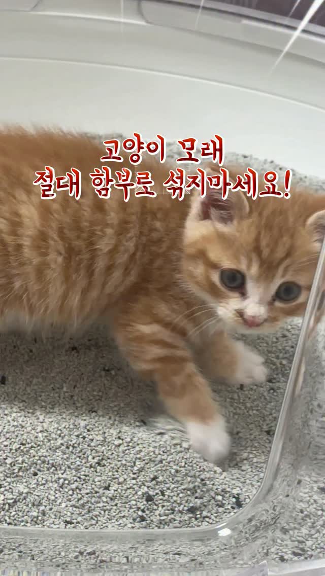 @luckyducky.o_o이 올린 HURRAY 허레이 태그 게시물