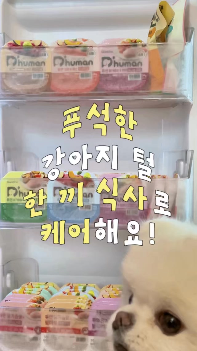 @tori.thepom이 올린 D'human 듀먼 태그 게시물