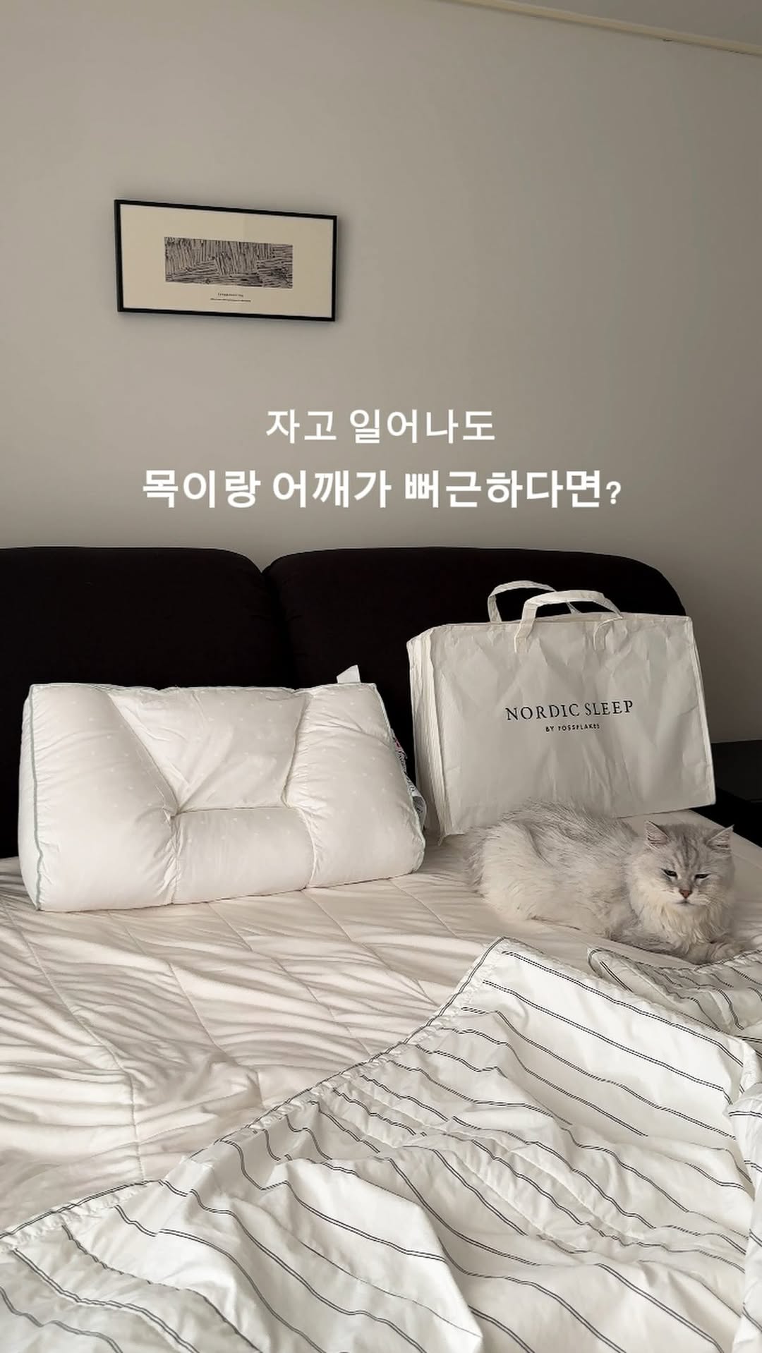 @nohmir_이 올린 노르딕슬립 태그 게시물