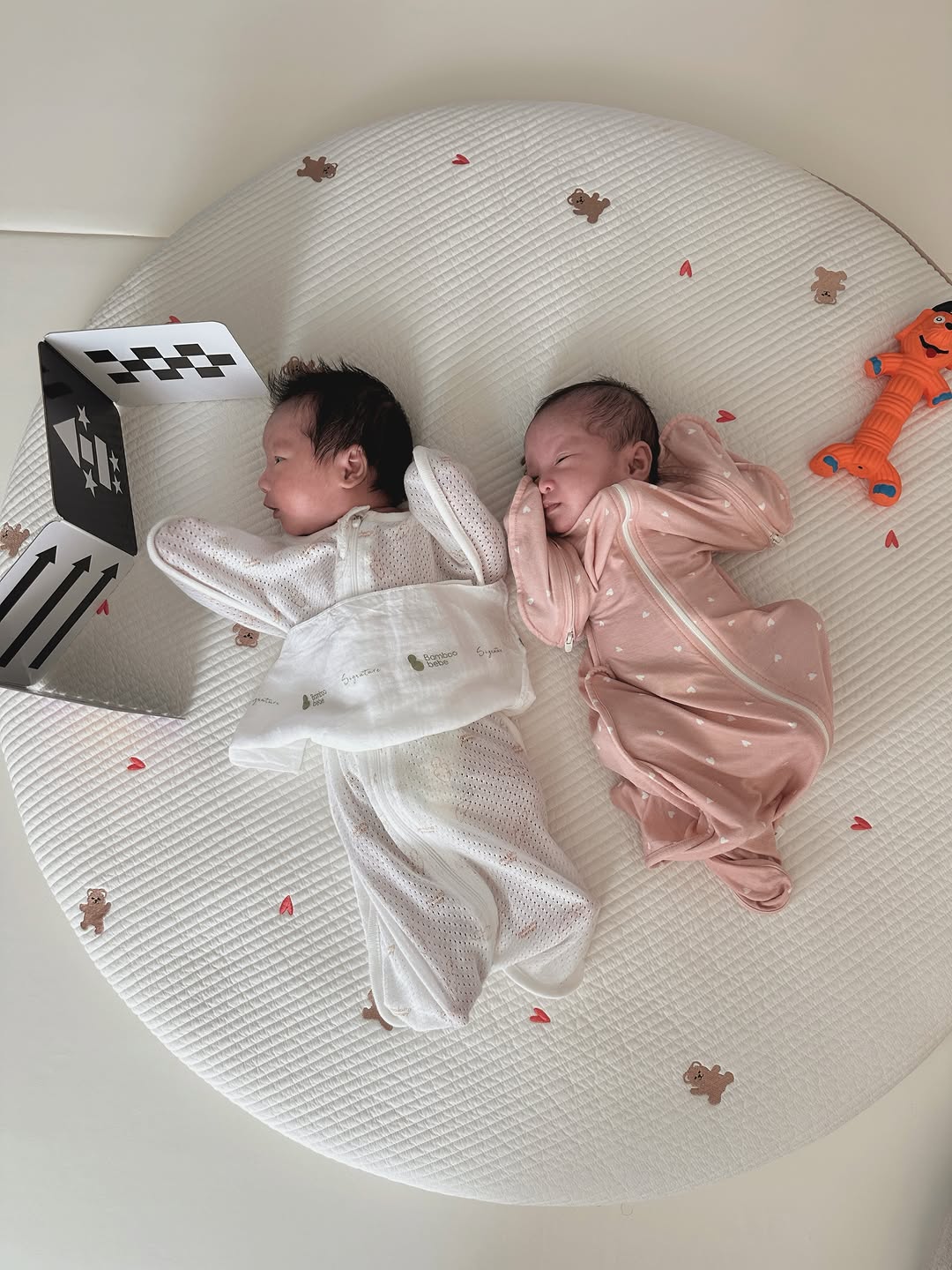 @rimbyrim_이 올린 비비엔다 태그 게시물