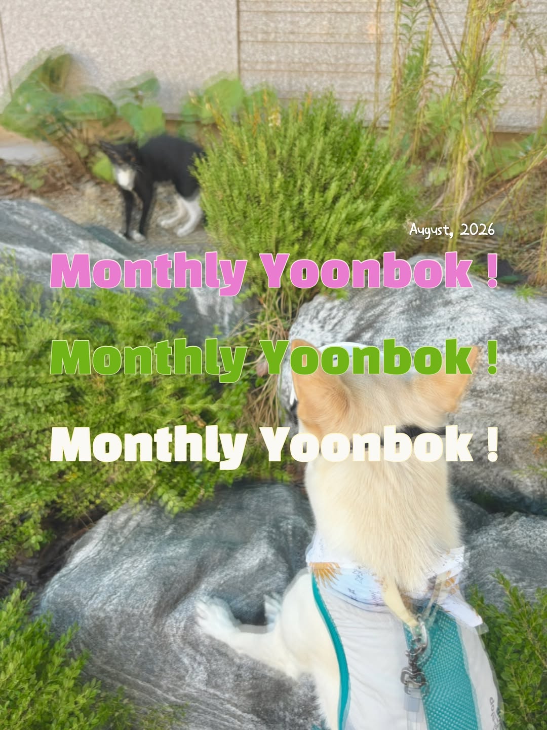 @yoonbok._.ee이 올린 큐라덴 코리아 태그 게시물