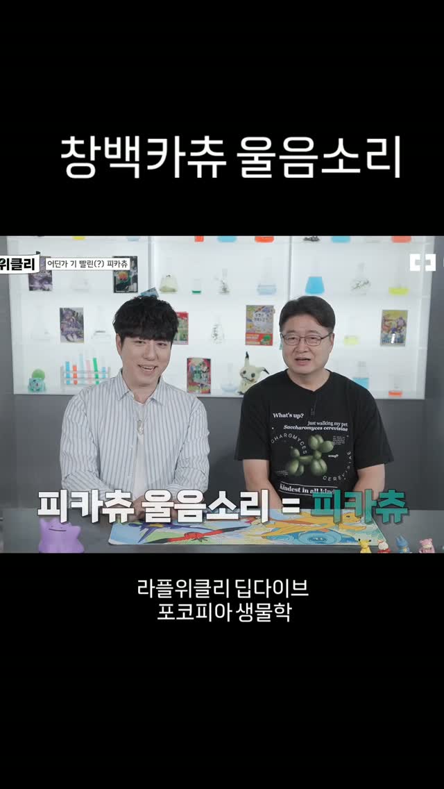 @satellitecastiel이 올린 라이프플러스 태그 게시물