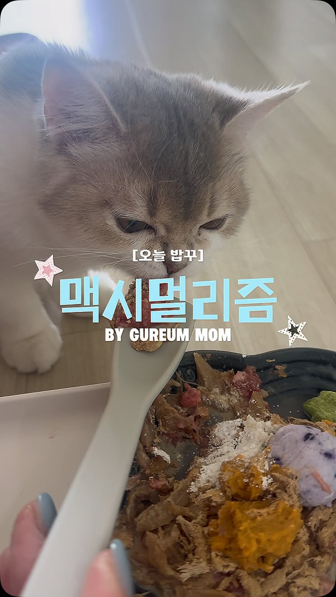 @gureum_ee_이 올린 데일리로 태그 게시물