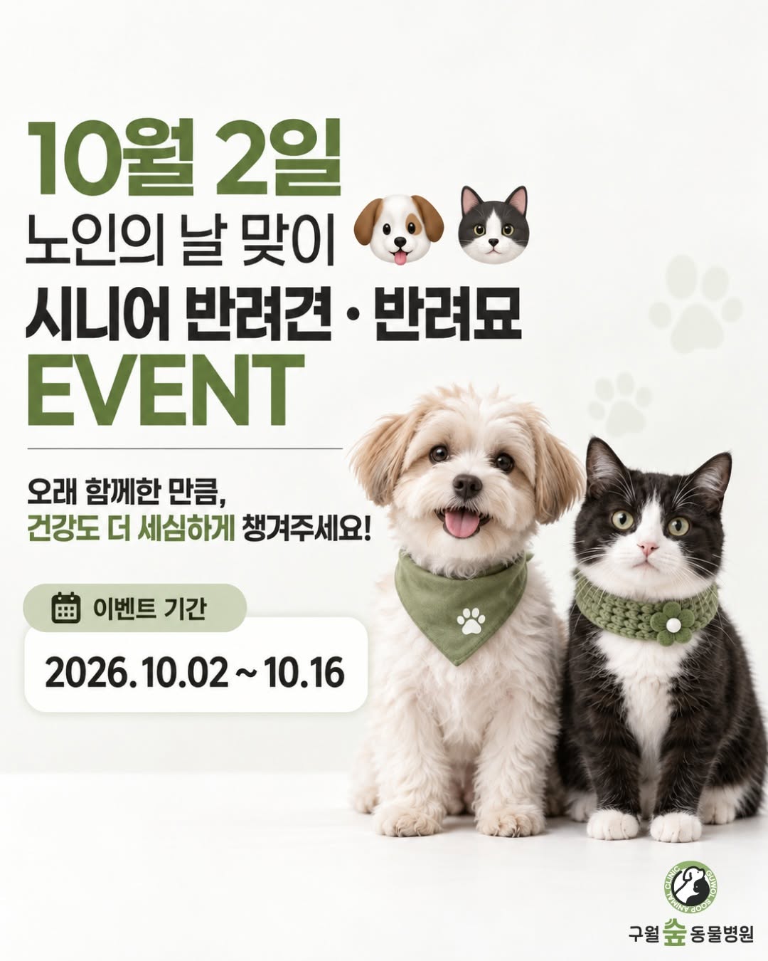 @guwolsoop_ah이 올린 펫생각 태그 게시물