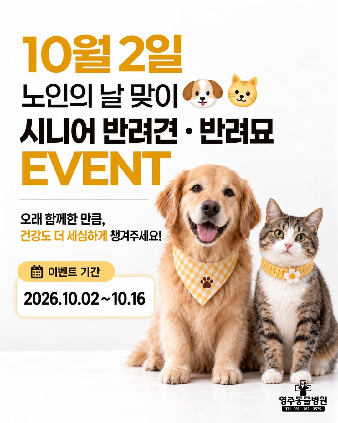 @yj_amc이 올린 펫생각 태그 게시물