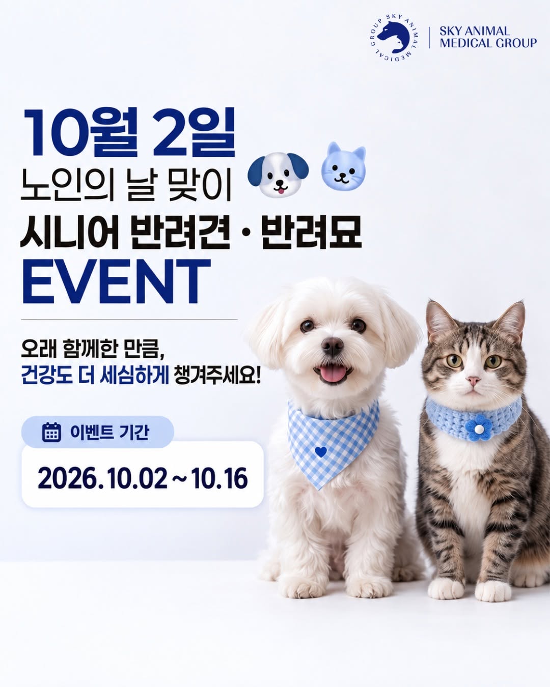 @skyamg_bp이 올린 펫생각 태그 게시물