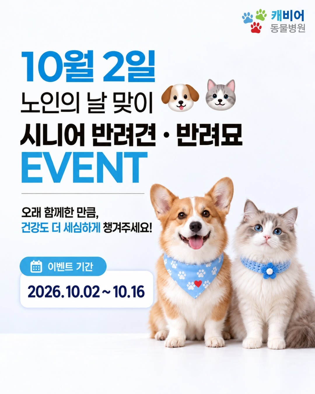@caviareah이 올린 펫생각 태그 게시물
