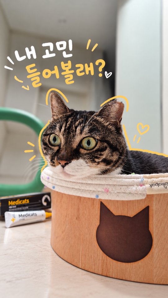 @meow_woof_x3이 올린 마이펫닥터 태그 게시물