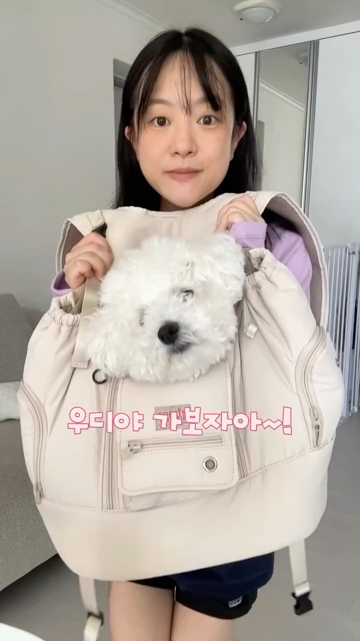@haramiming이 올린 컴피라비올리 태그 게시물
