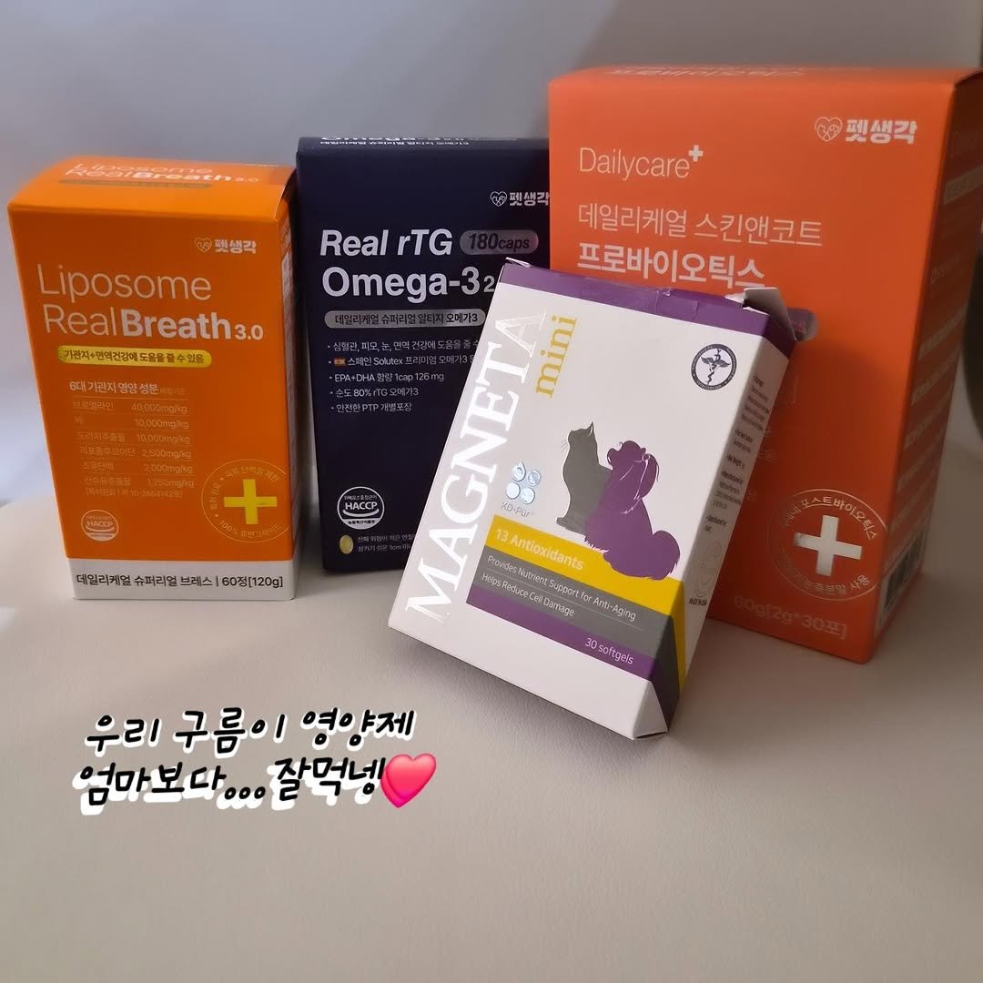 @doodle.gureum이 올린 펫생각 태그 게시물