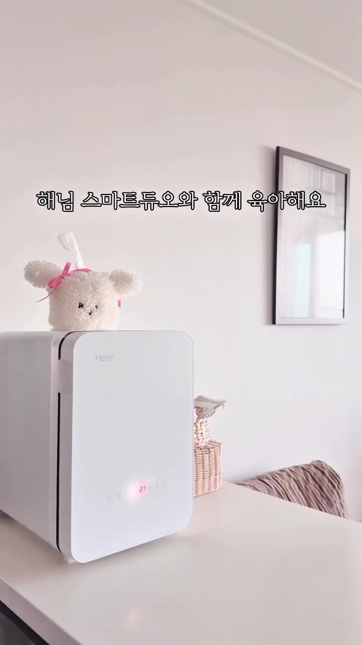 @luv__2.b이 올린 해님 태그 게시물