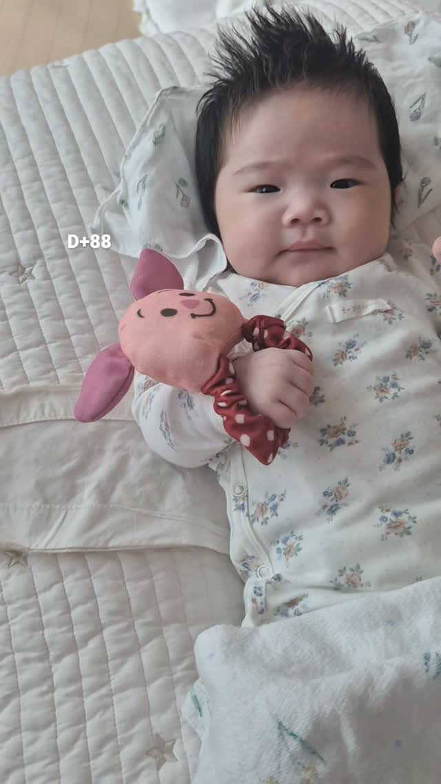 @dear.danbi이 올린 스엔코 태그 게시물