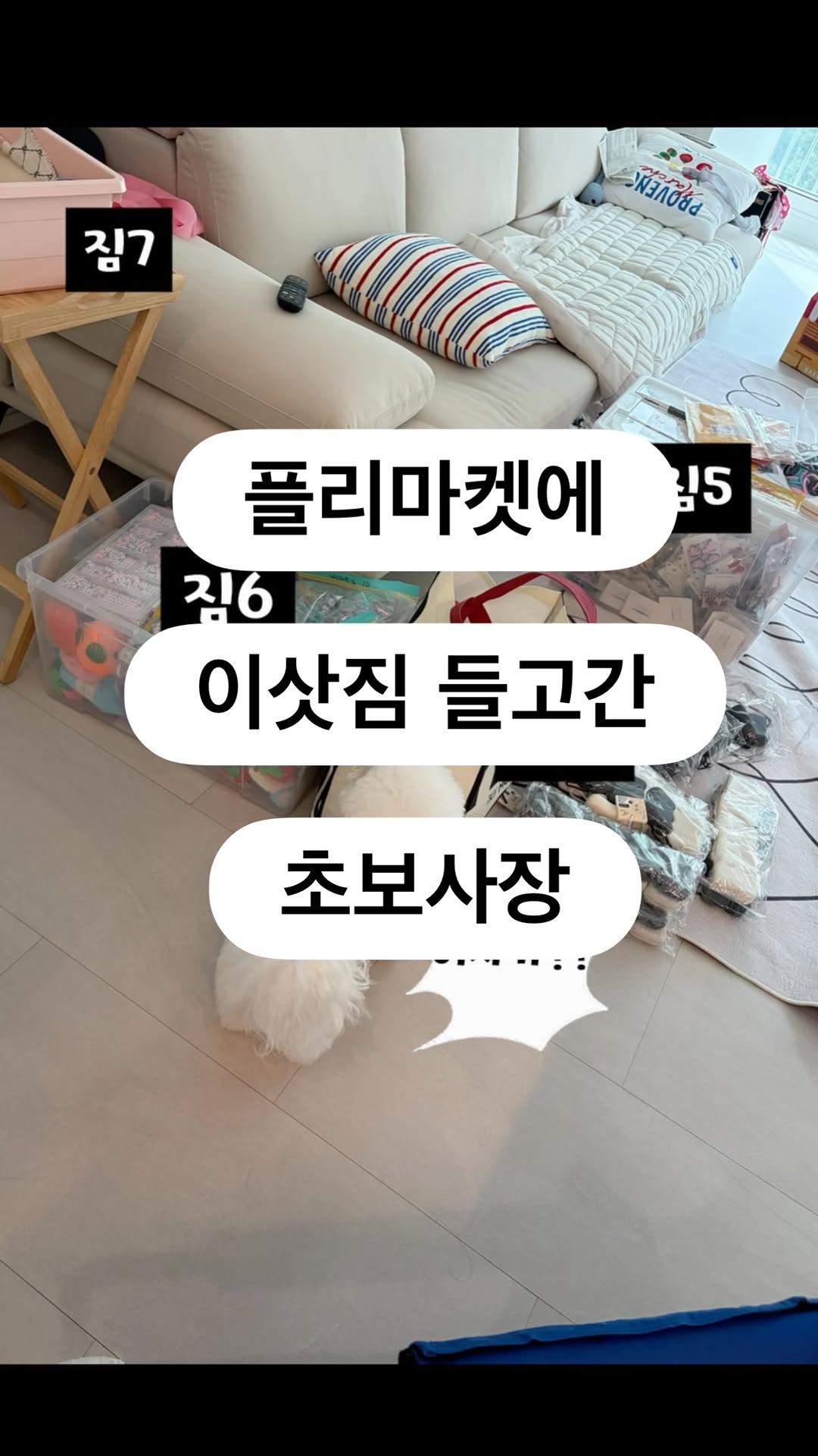 @flower_powder_2021이 올린 보울대학교 태그 게시물